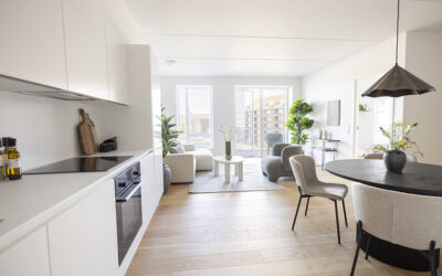 Del 2 af 2: Velkommen til Remisen i GAMMELHAVN – hvor din hverdag kan blive fyldt med lykke